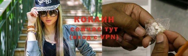 шишки Балабаново