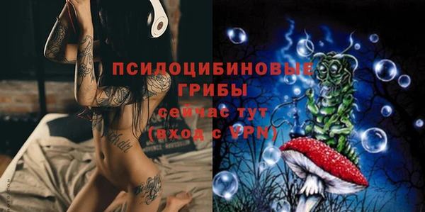 шишки Балабаново
