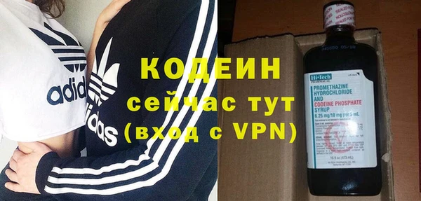 шишки Балабаново