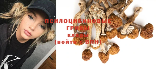бошки Баксан