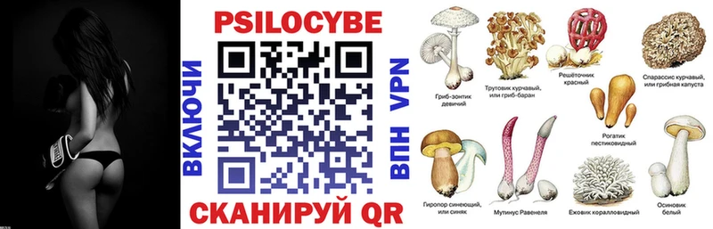 Галлюциногенные грибы Cubensis  наркота  Лукоянов 